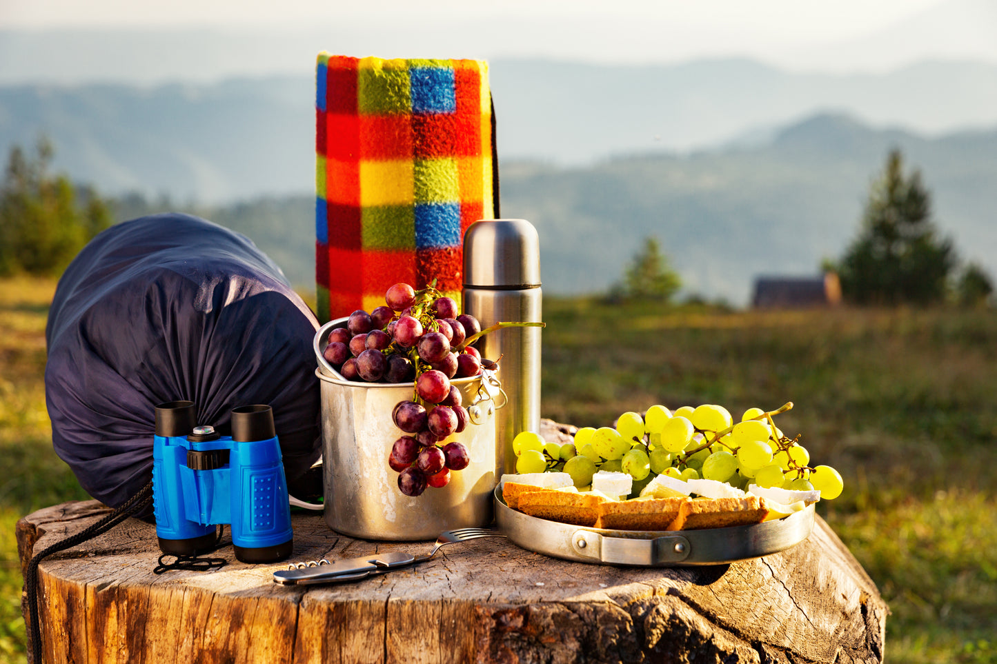 Mountain Picnic