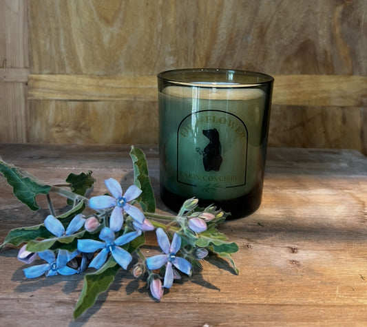 14oz Premium Soy Candles